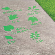 Large Leaf Set Reusable Stencil